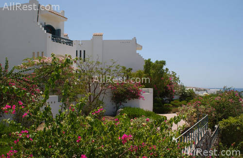 Tropicana Rosetta Hotel 4